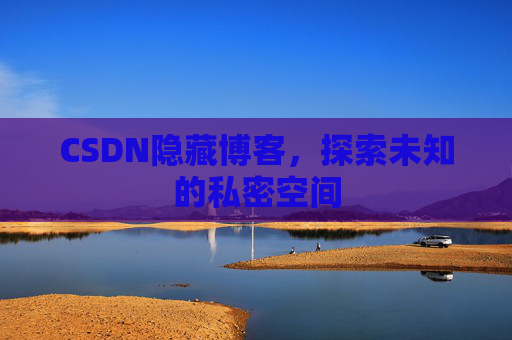 CSDN隐藏博客，探索未知的私密空间